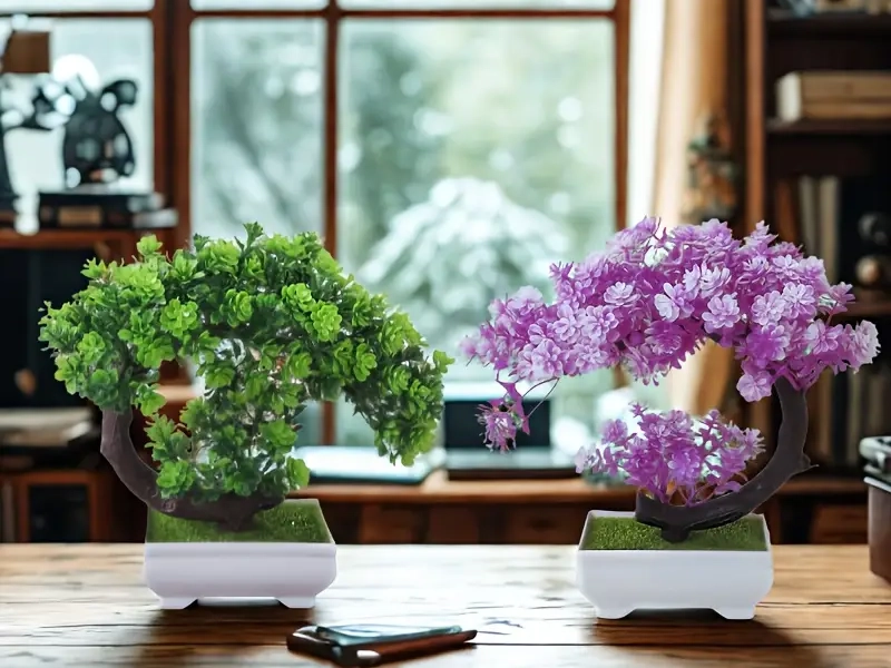 Bonsai Boom set van 2